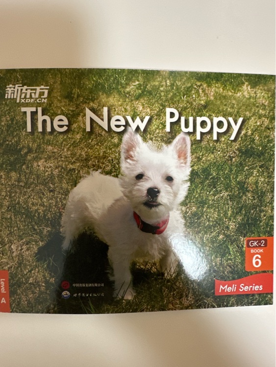 The New Puppy