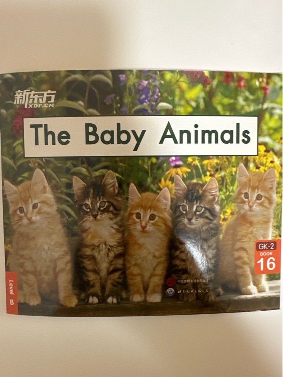 The Baby Animals