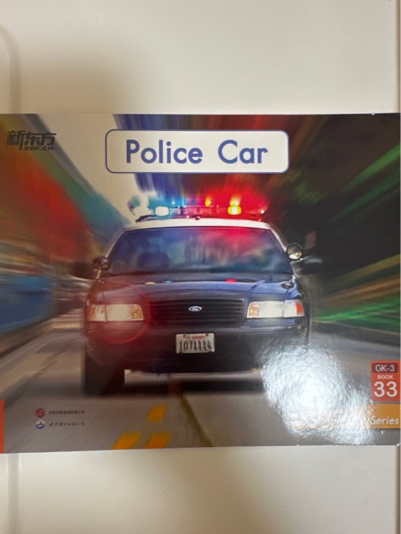 Police Car