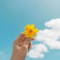 看一朵花