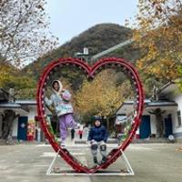 布登家庭