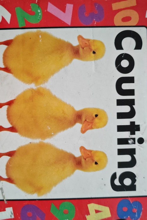 counting