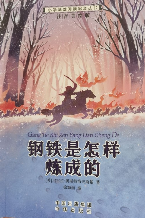 小學生語文新課標推薦閱讀叢書:注音美繪版 鋼鐵是怎樣煉成的