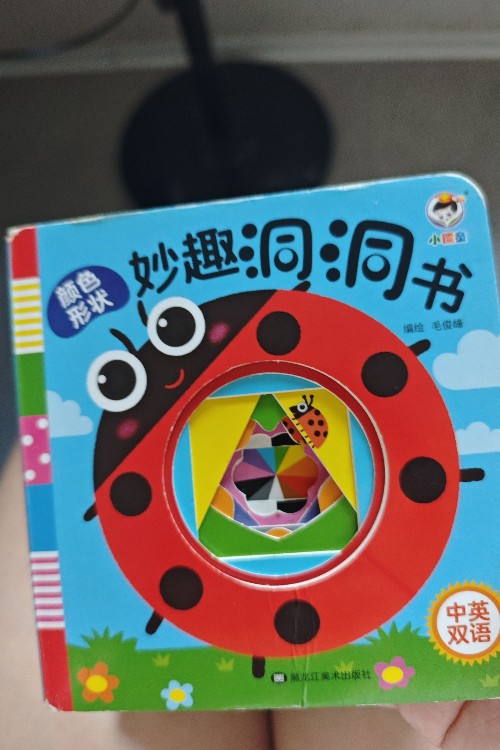 妙趣洞洞書