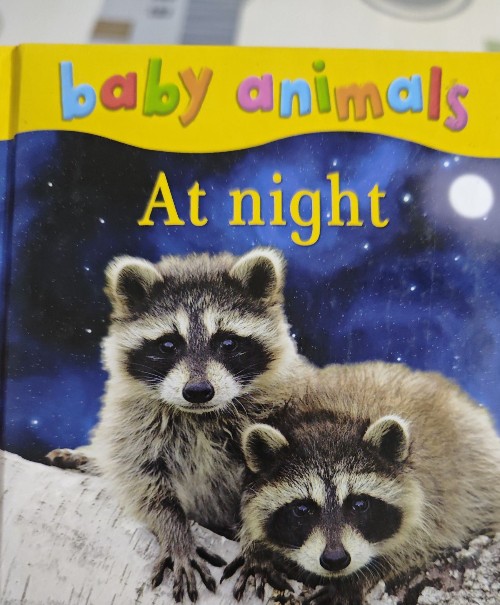At night
