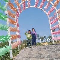 leimu