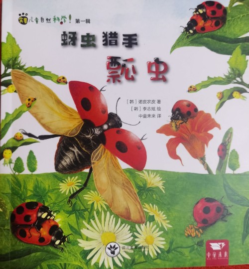 蚜蟲獵手瓢蟲