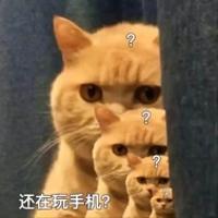 仰臥起坐瓜媽