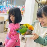 茉莉雪莉