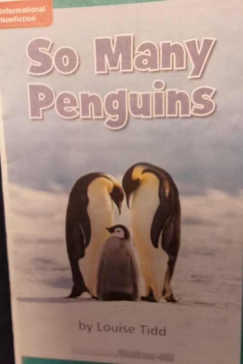 so many penguins