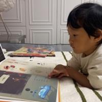 逗豆貓兒