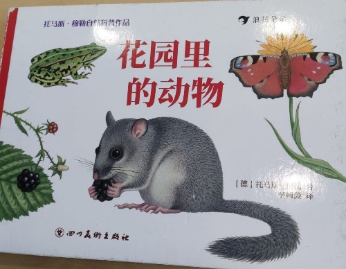 花園里的動物