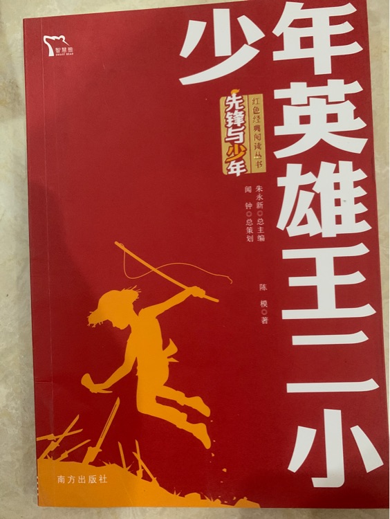 少年英雄王小二