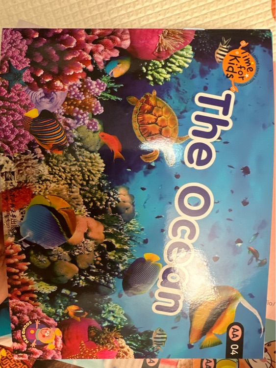 The ocean