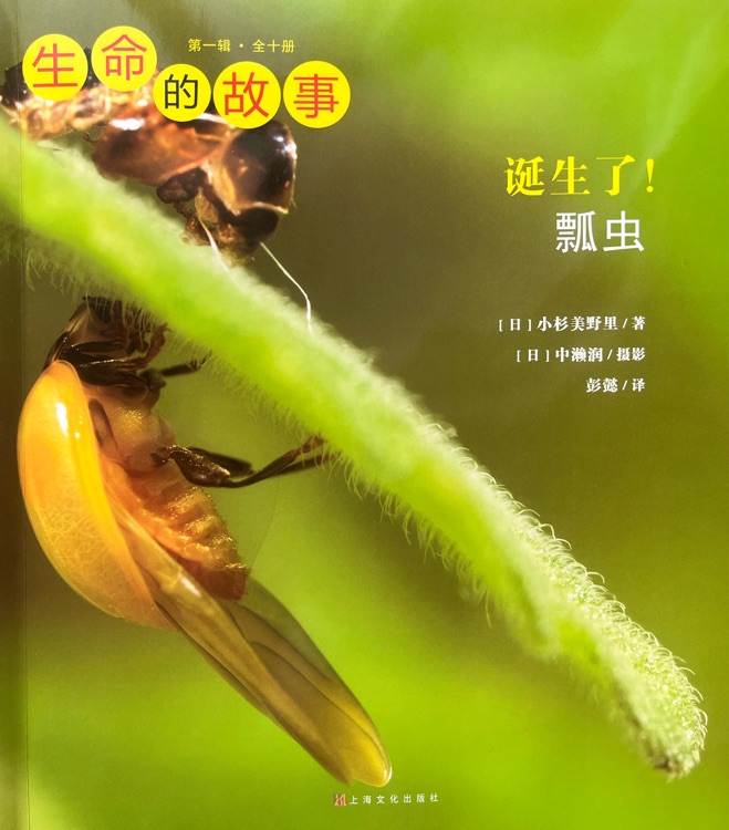 生命的故事·第一輯: 誕生了! 瓢蟲