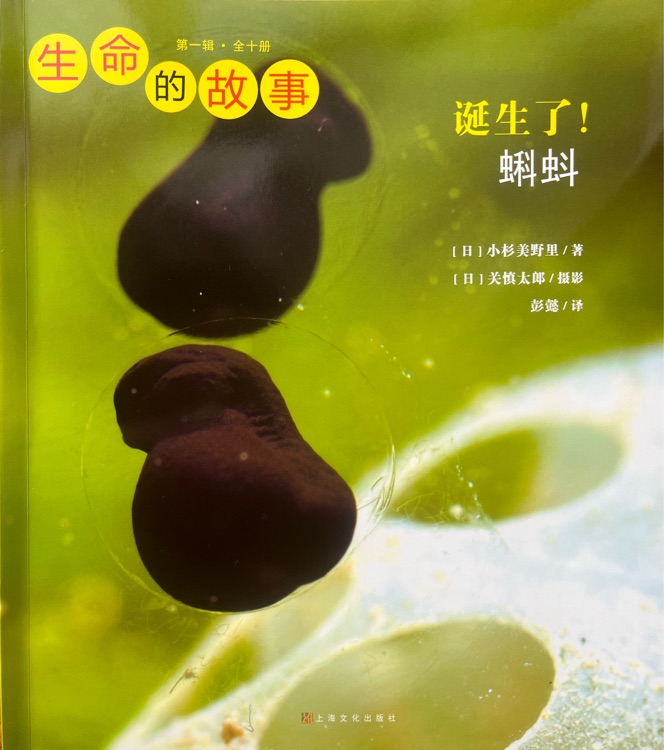 生命的故事·第一輯: 誕生了! 蝌蚪