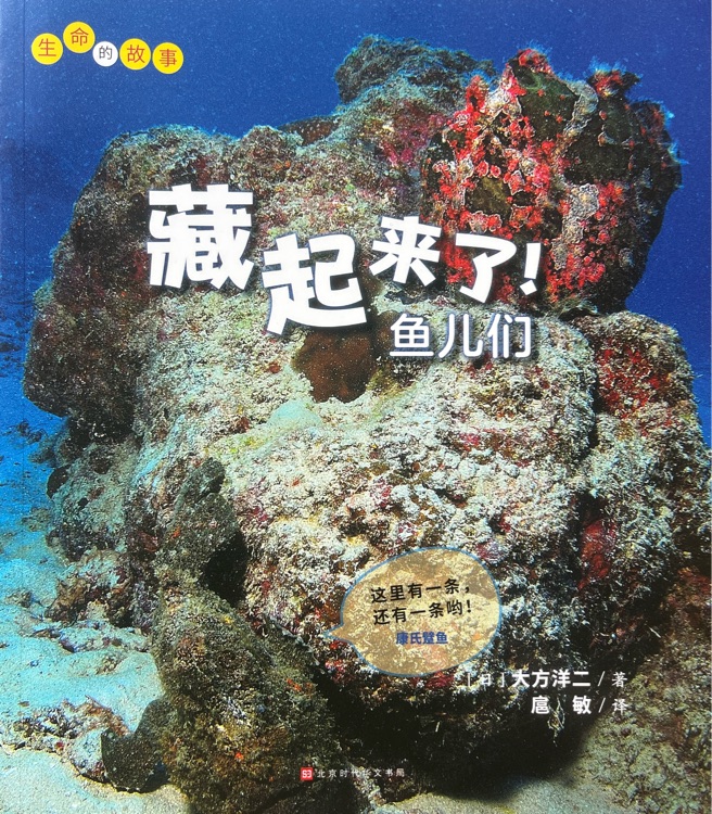 生命的故事·藏起來了! 魚兒們