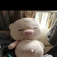 艾樂伊成長記