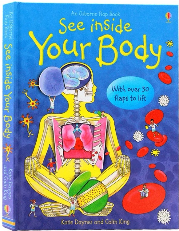 Usborne See Inside: Your Body