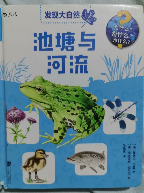 池塘與河流