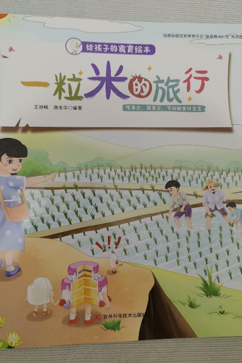 一粒米的旅行
