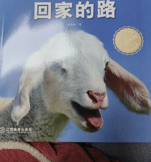 回家的路