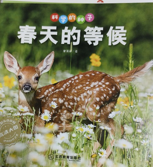 春天的等候