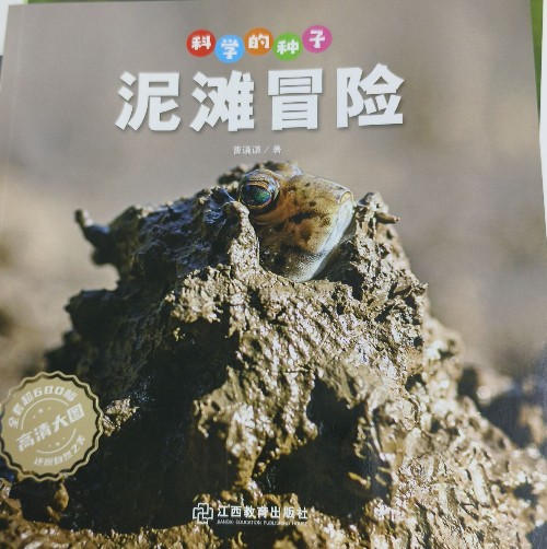 泥灘冒險(xiǎn)