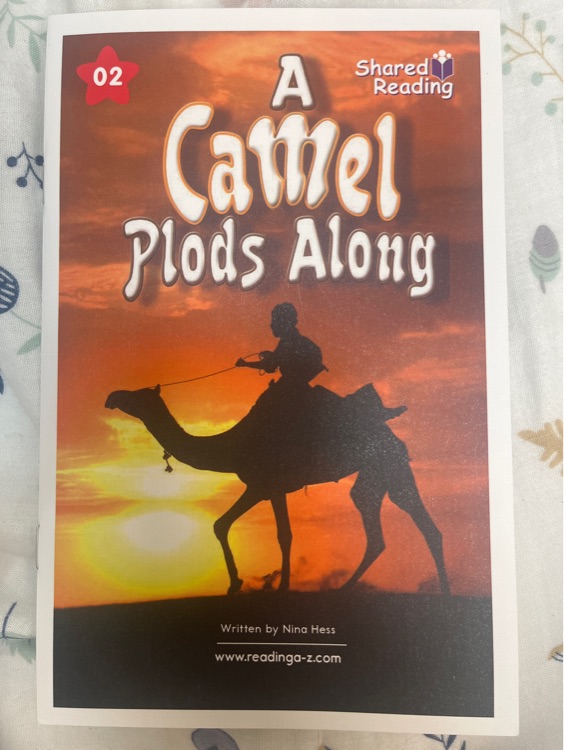 A camel plods along