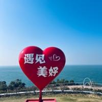 甜菜