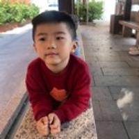 炫炫的閱讀時光