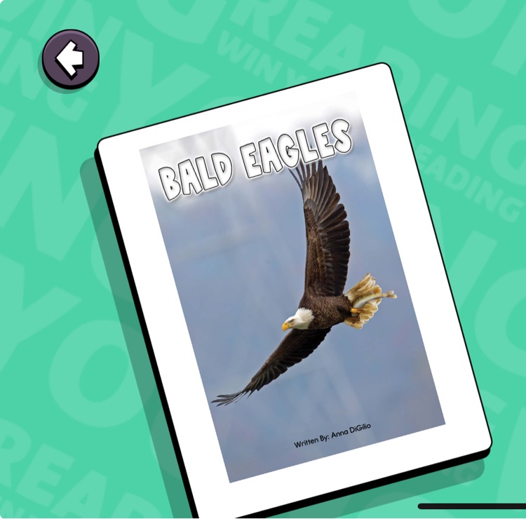 Bald eagles
