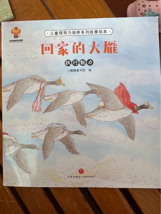 回家的大雁