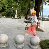 陈西瓜