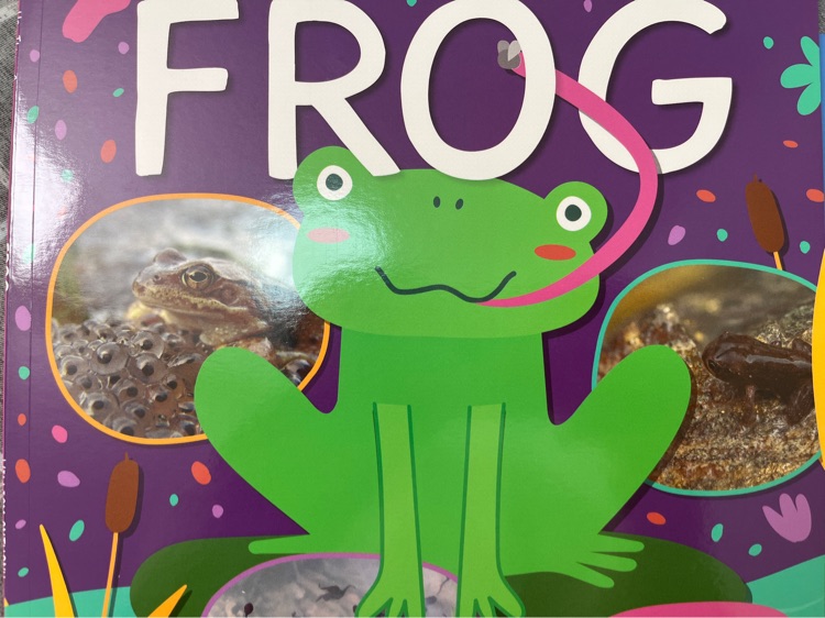 How things grow-Frog