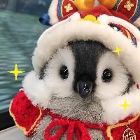 云胖頭魚