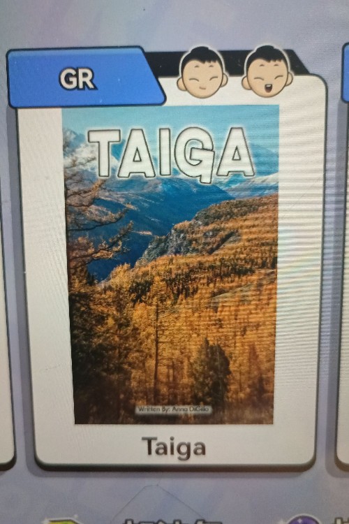 taiga