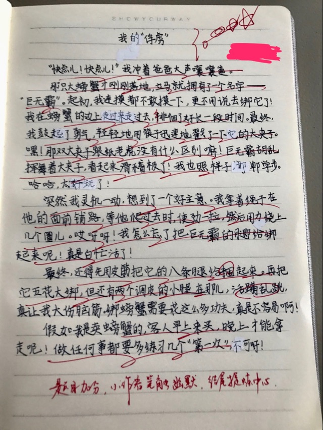 作文有些進步了