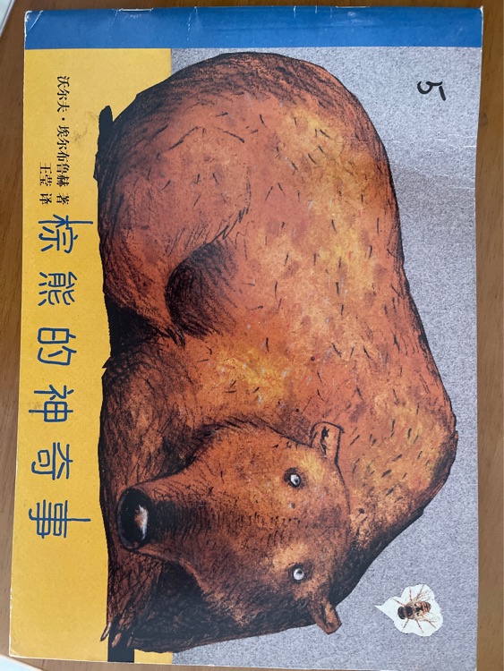 棕熊的神奇事