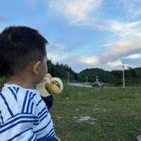 BY狗