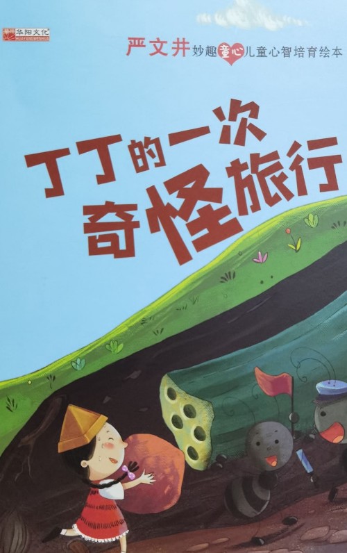 中國兒童文學(xué)名家經(jīng)典: 丁丁的一次奇怪旅行