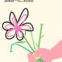 xixi2025