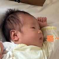 烏雞國國王