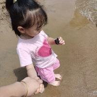 張安安