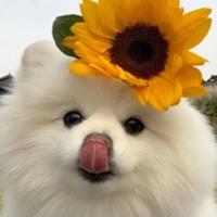 略略略冷靜中