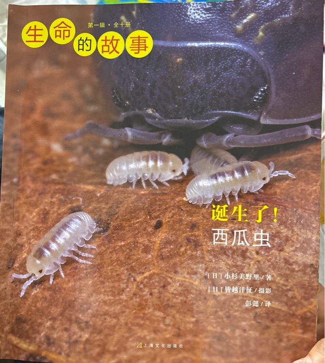 生命的故事·第一輯(全十冊(cè))