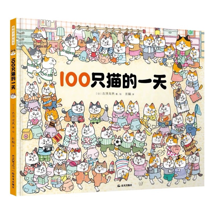 100只貓的一天