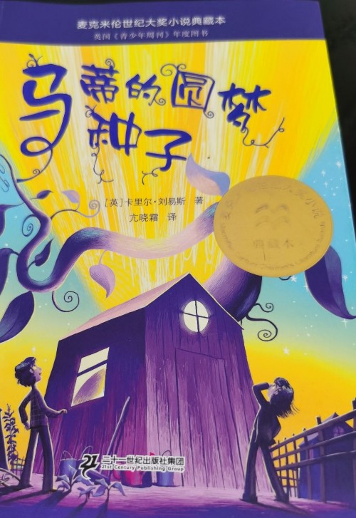 馬蒂的圓夢種子