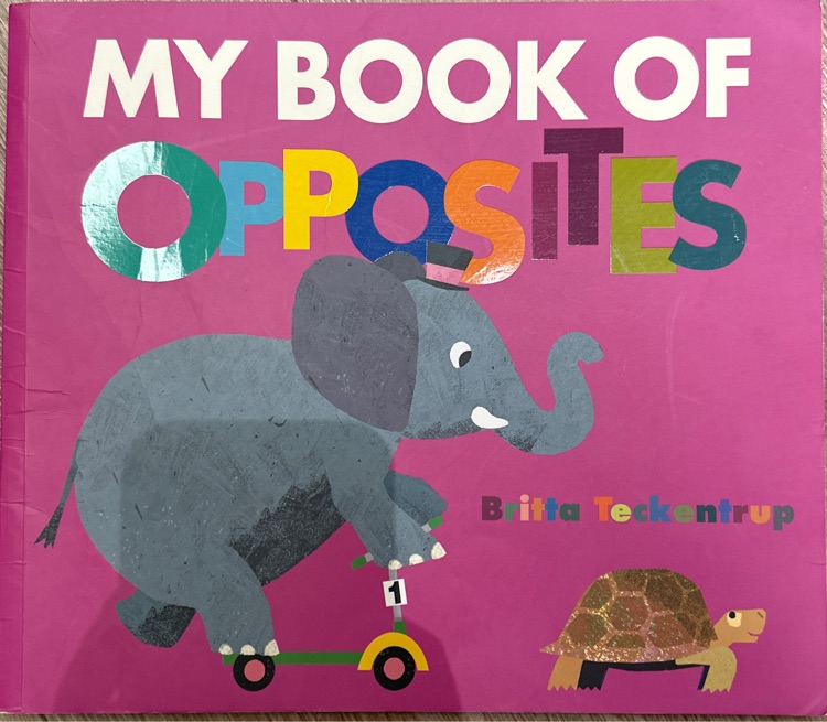 My book of opposites