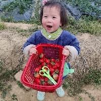 嶼晴